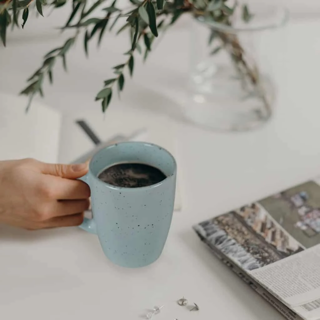 Set farfurii 16 piese, 4 persoane, peppermint, verde menta mat cu puncte negre, imagine 6