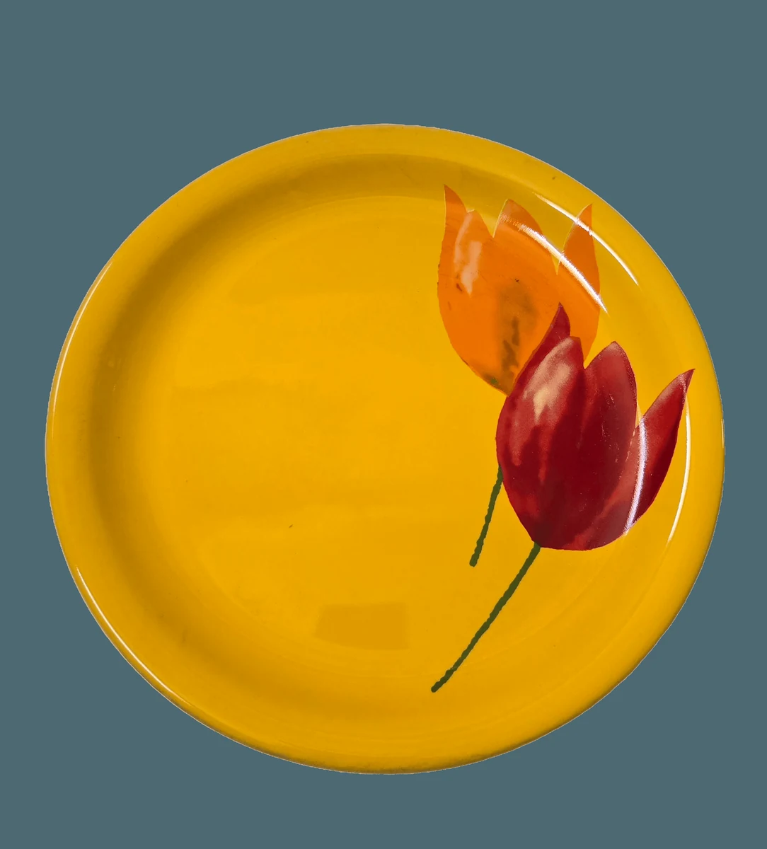 Farfurie intinsa, 23 cm, Galben cu lalele