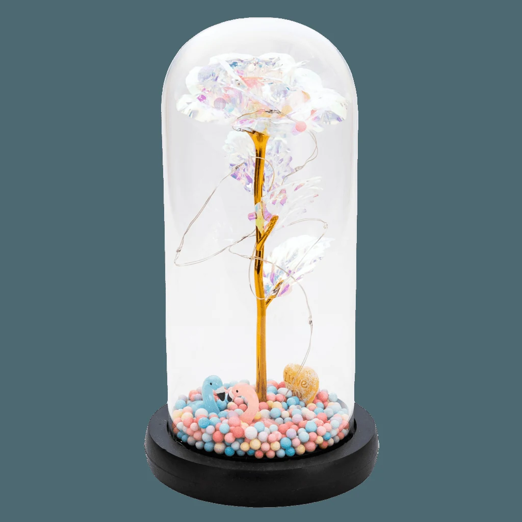 Trandafir în cupola 21 cm, multicolor mit flamingo