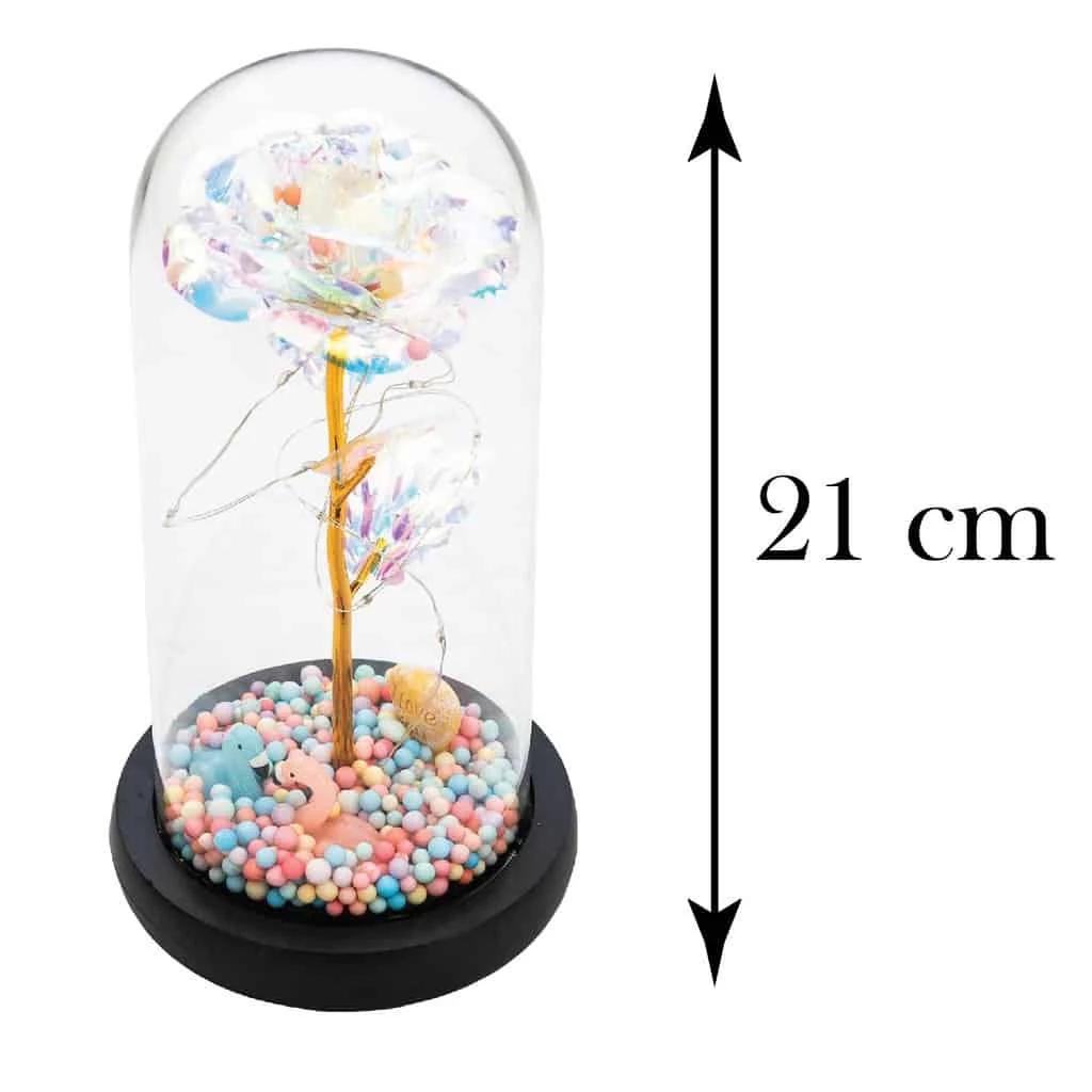 Trandafir în cupola 21 cm, multicolor cu flamingo, imagine 2