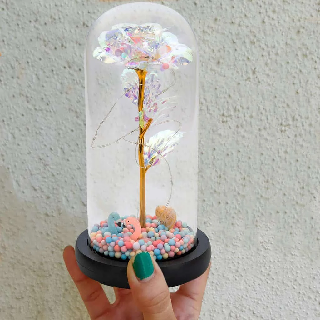 Trandafir în cupola 21 cm, multicolor cu flamingo, imagine 4