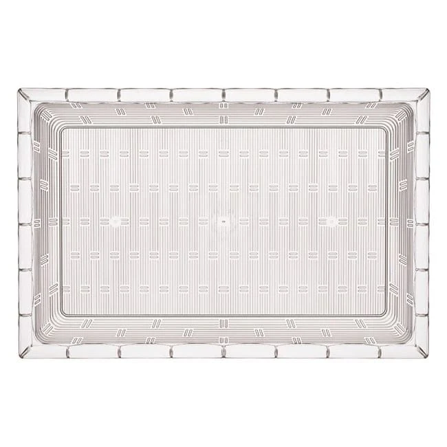 Platte de plastic transparent 42x28x3cm
