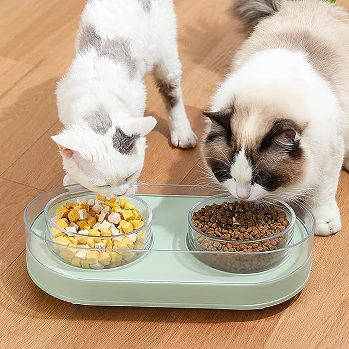 Bol pentru pisici dublu pentru mâncare și apă, bol de hrănire înclinat