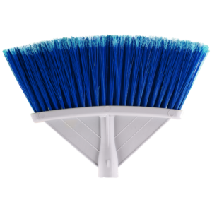 Matura Europeea Blue, fara coada, interior/ exterior